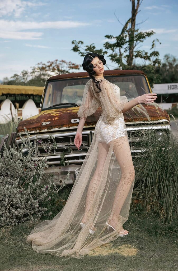 EMBELLISHED DRESS (INCLUDING BODYSUIT)